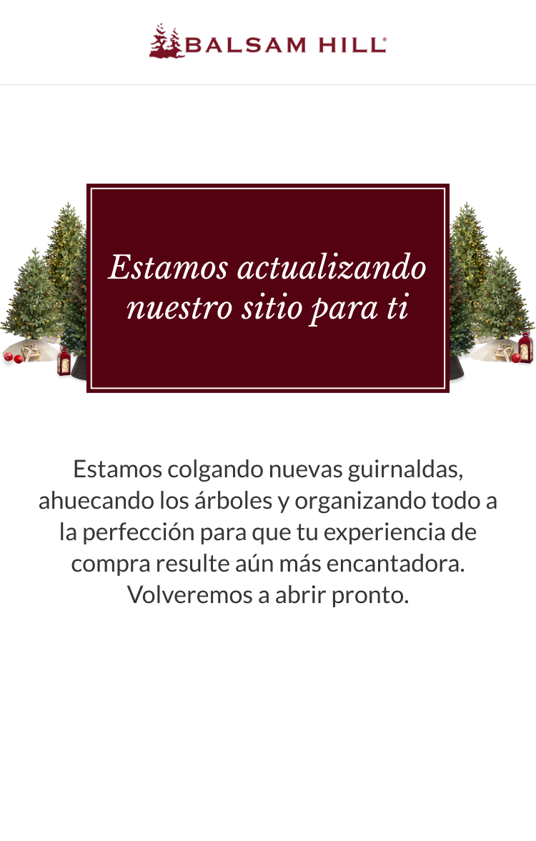 Imagen de mantenimiento