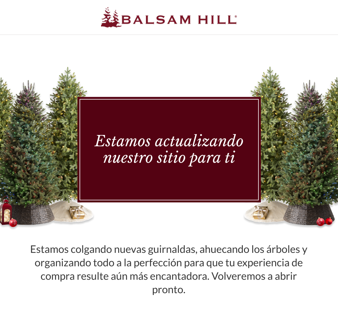 Imagen de mantenimiento