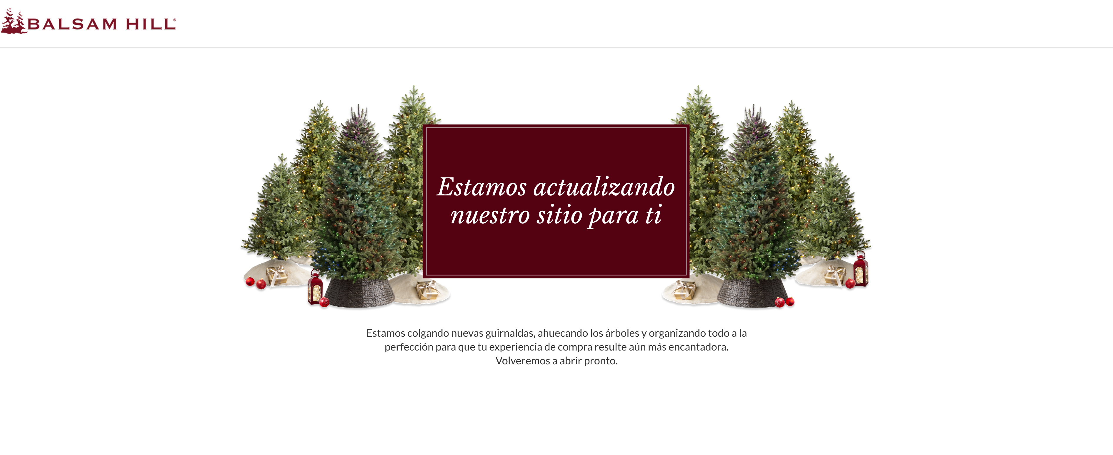 Imagen de mantenimiento